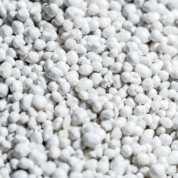 Blähglas2 Blähglas2