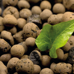 Blähtonkugeln Blähtonkugeln